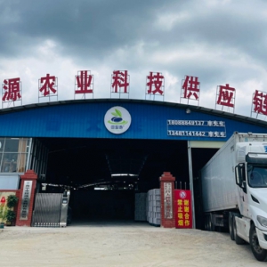 员工团队